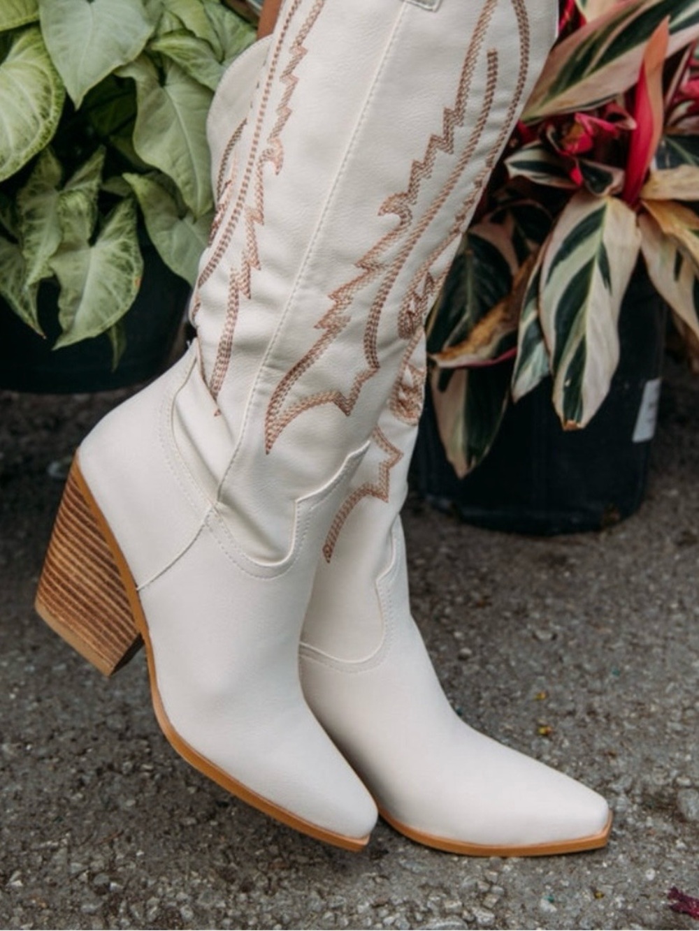 BILLINI: CALVIN BOOT -IVORY size 5 Nwob